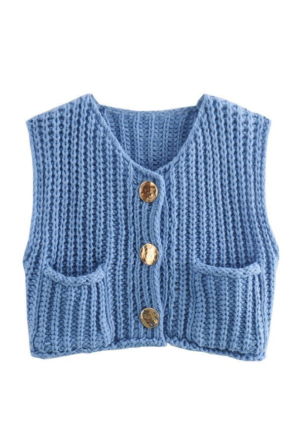 Blue Solid Round Neck Sweater Vest