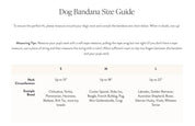 Peaches and Cream Dog Bandana