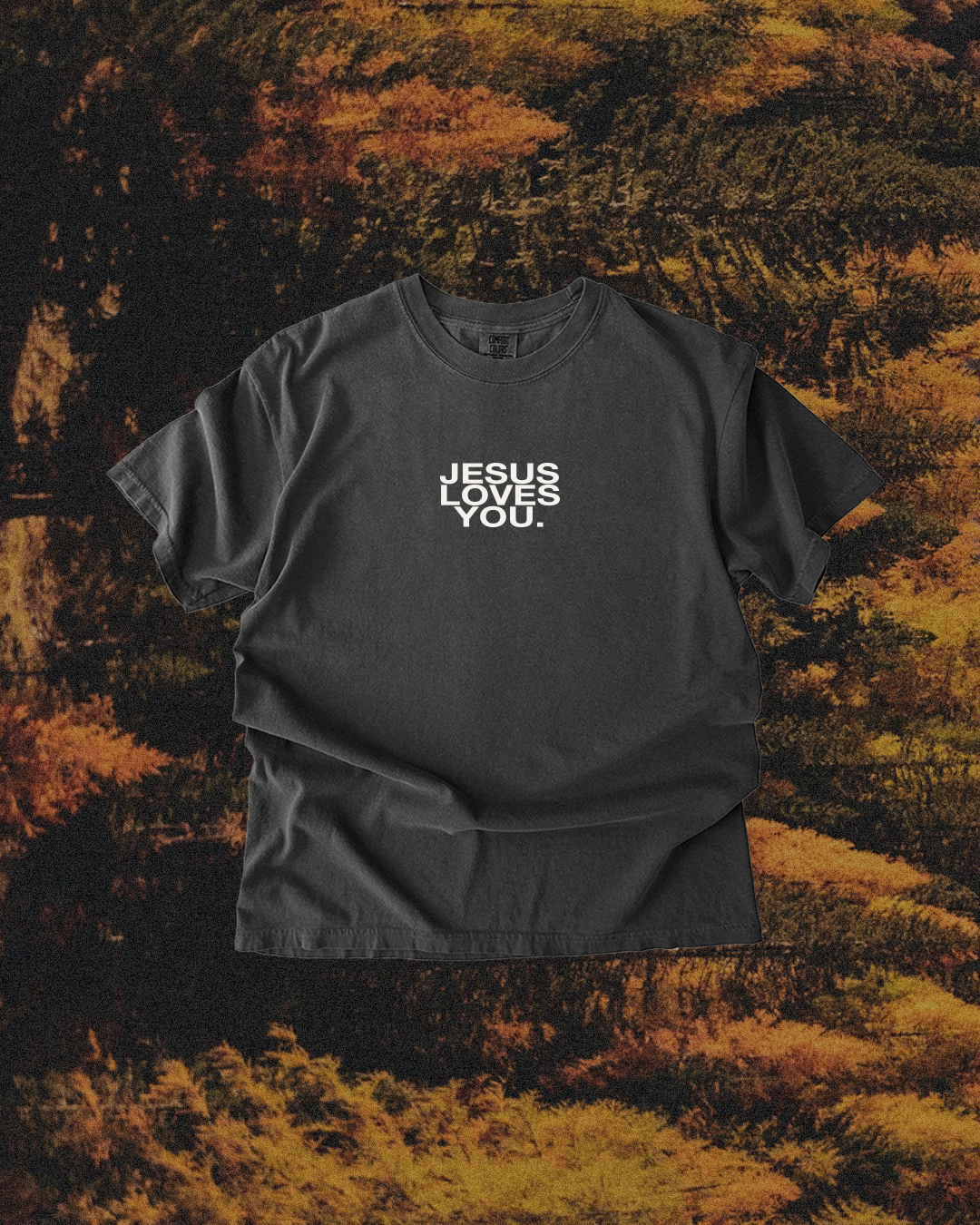 Gray Jesus Loves You Tee