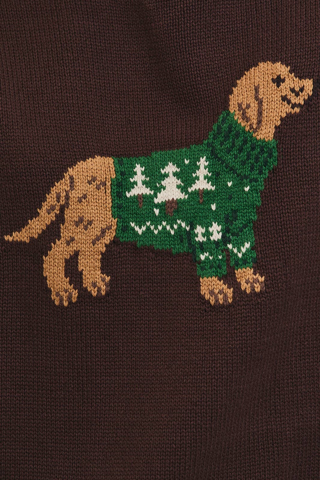 Brown Dog Sweater