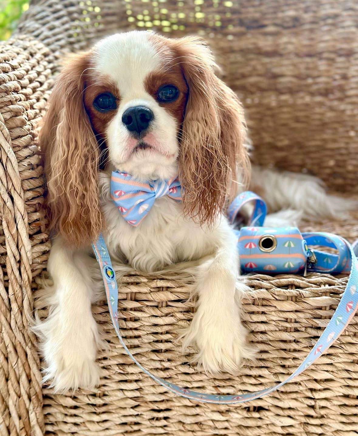 Sunshade Dog Waste Bag Holder