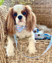 Sunshade Dog Waste Bag Holder