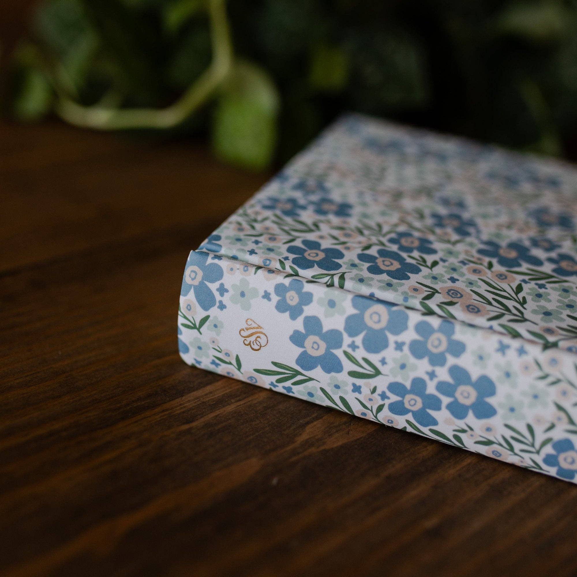 ESV Single Column Journaling Bible