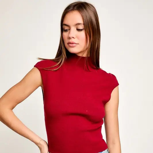 Burgundy High Neck Sweater Top