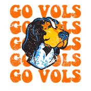 #108 - CUSTOM APPAREL — orange text and 'GO VOLS'