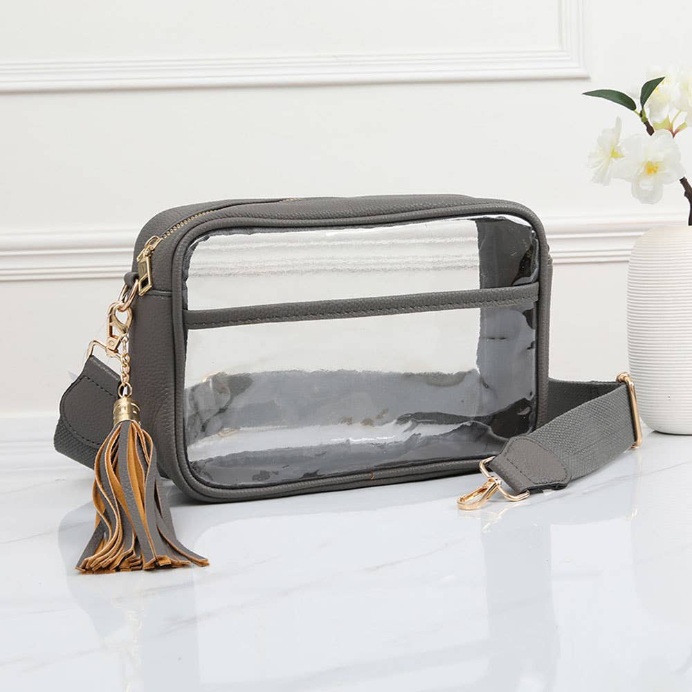 Faux Leather Transparent Rectangular Crossbody Bag: Clear,Silver