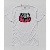 Short Sleeve Ash mockup