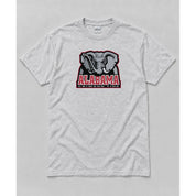 Short Sleeve Ash mockup