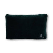 Emails Finding Me Needlepoint Pillow