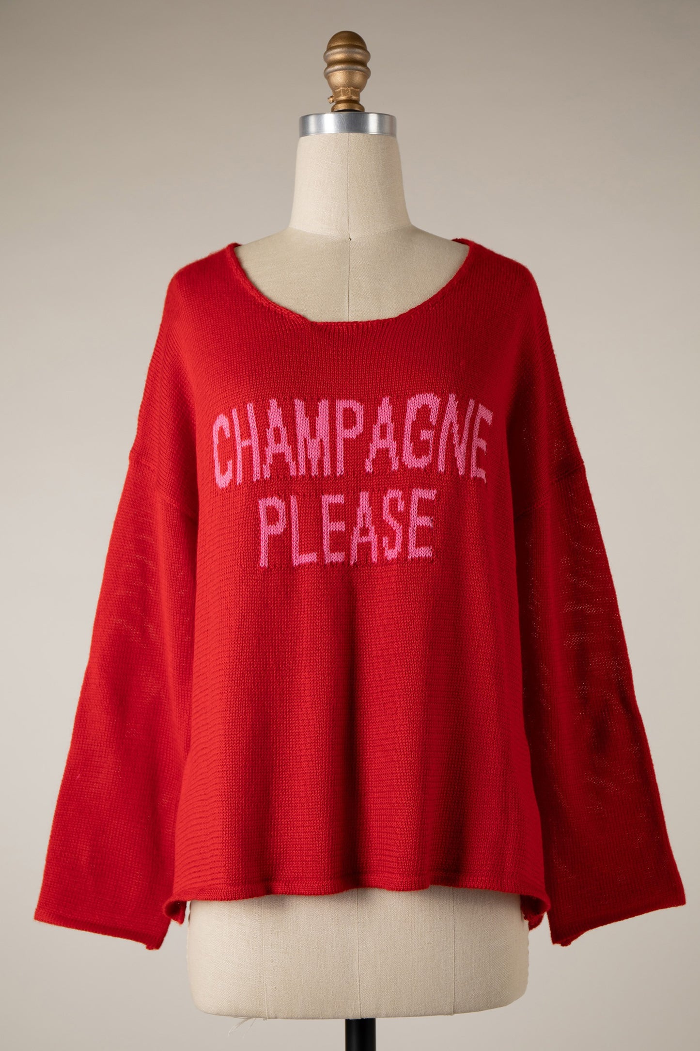 Champagne Please Red/Pink Sweater