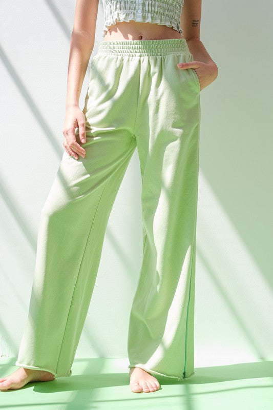 Sage Elastic Waist Zipper Sweat Pants