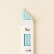 Blue Tumbler Straw Set