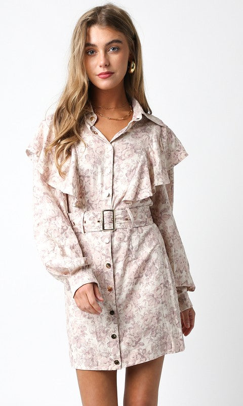 Blush Long Sleeve Dress