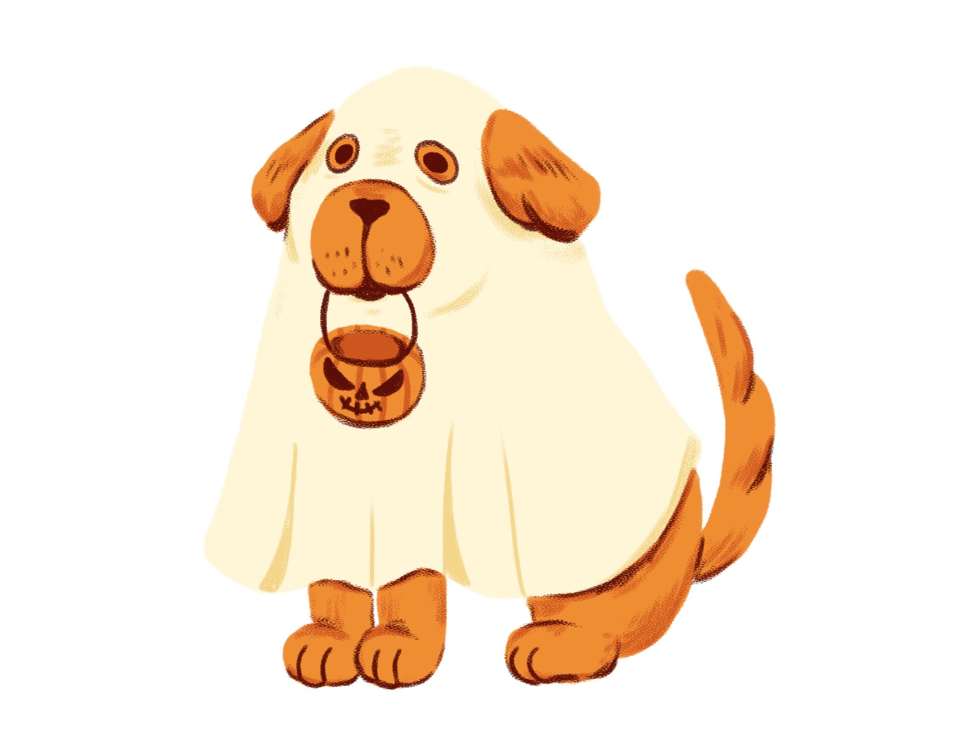 #224 - CUSTOM APPAREL