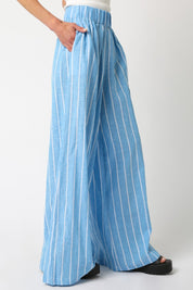 Blue Torry Stripe Pants