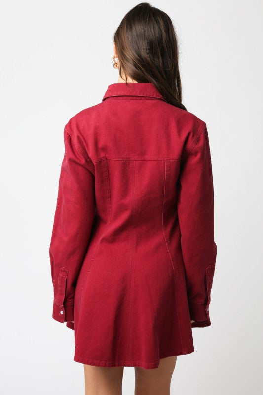 Burgundy Lea Button Dress