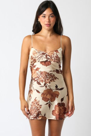 Brown Jane Dress