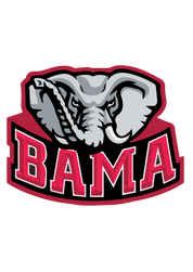 #145 - CUSTOM APPAREL — BAMA