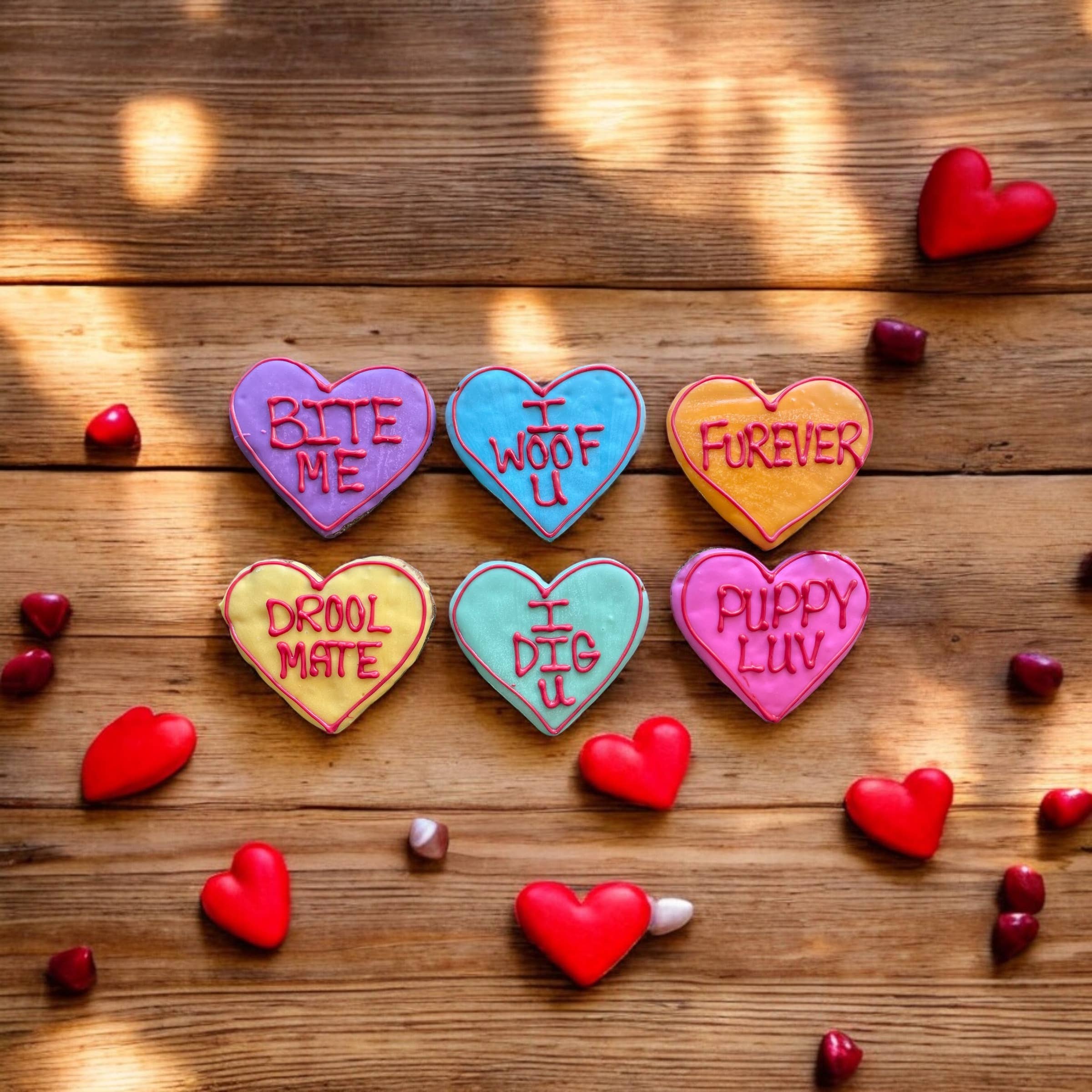 Large Conversation heart dog treat