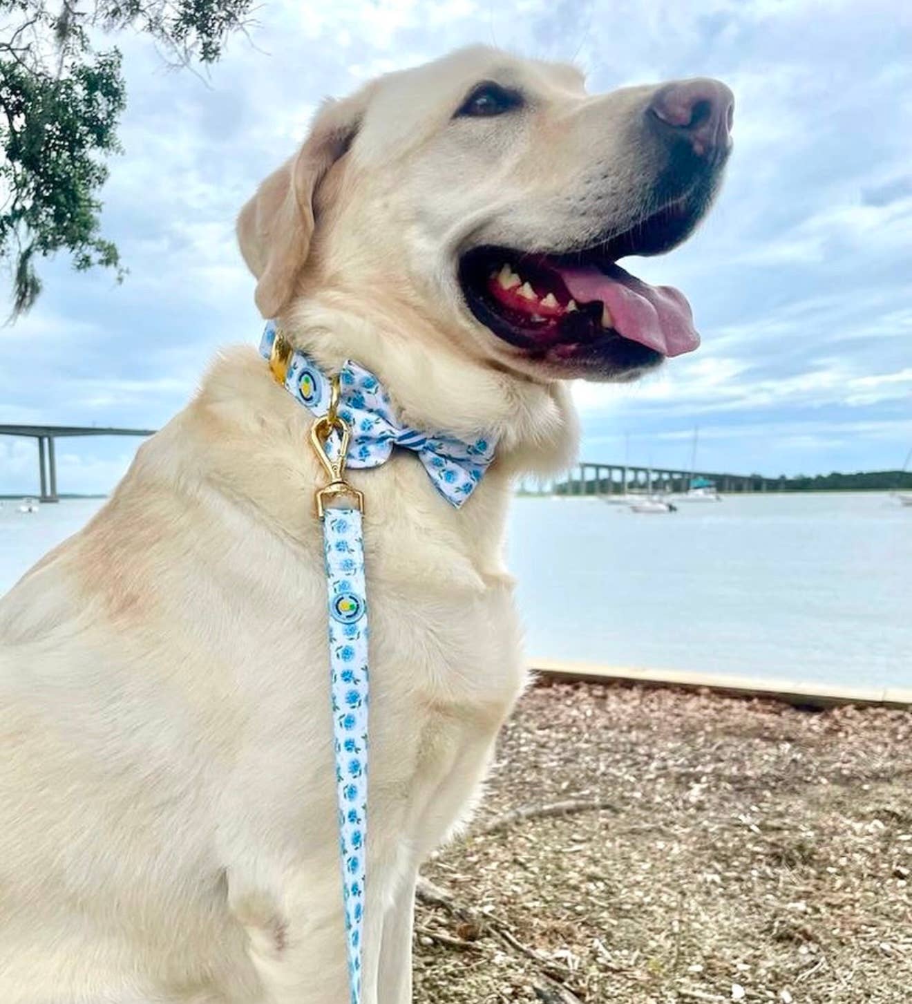 Blue Hydrangea Dog Bow Tie