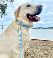 Blue Hydrangea Dog Bow Tie