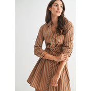 Striped Collared Shirt Dress