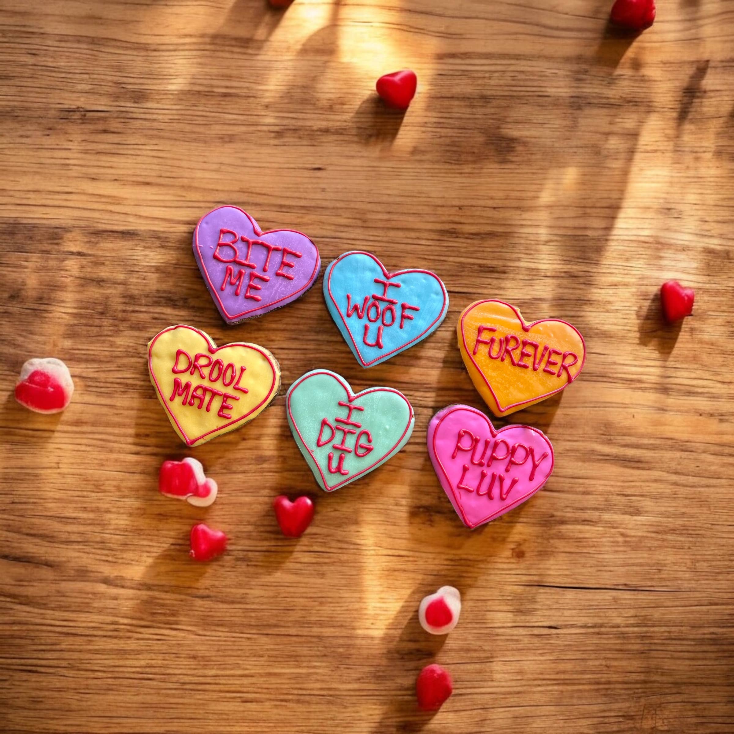 Large Conversation heart dog treat