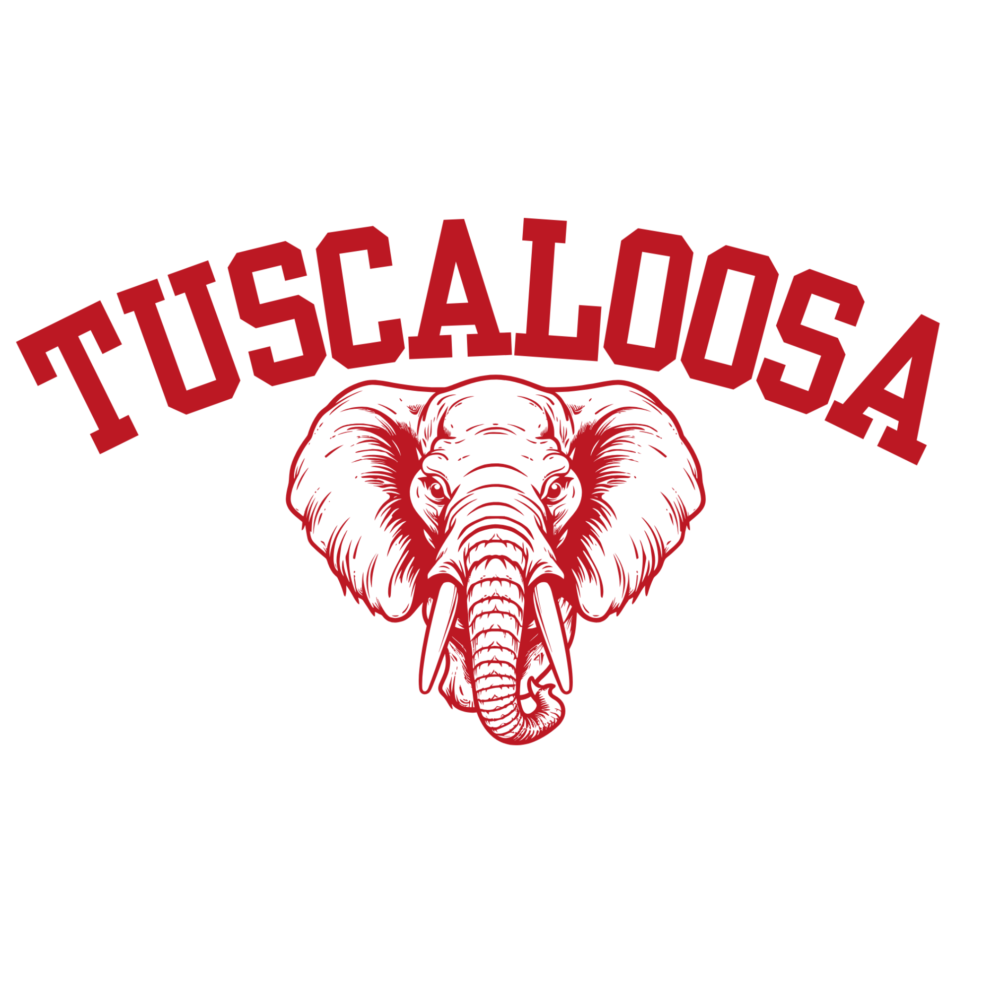 49-tuscaloosa_787de27f-8d56-489f-9a15-c28e3083a662.png