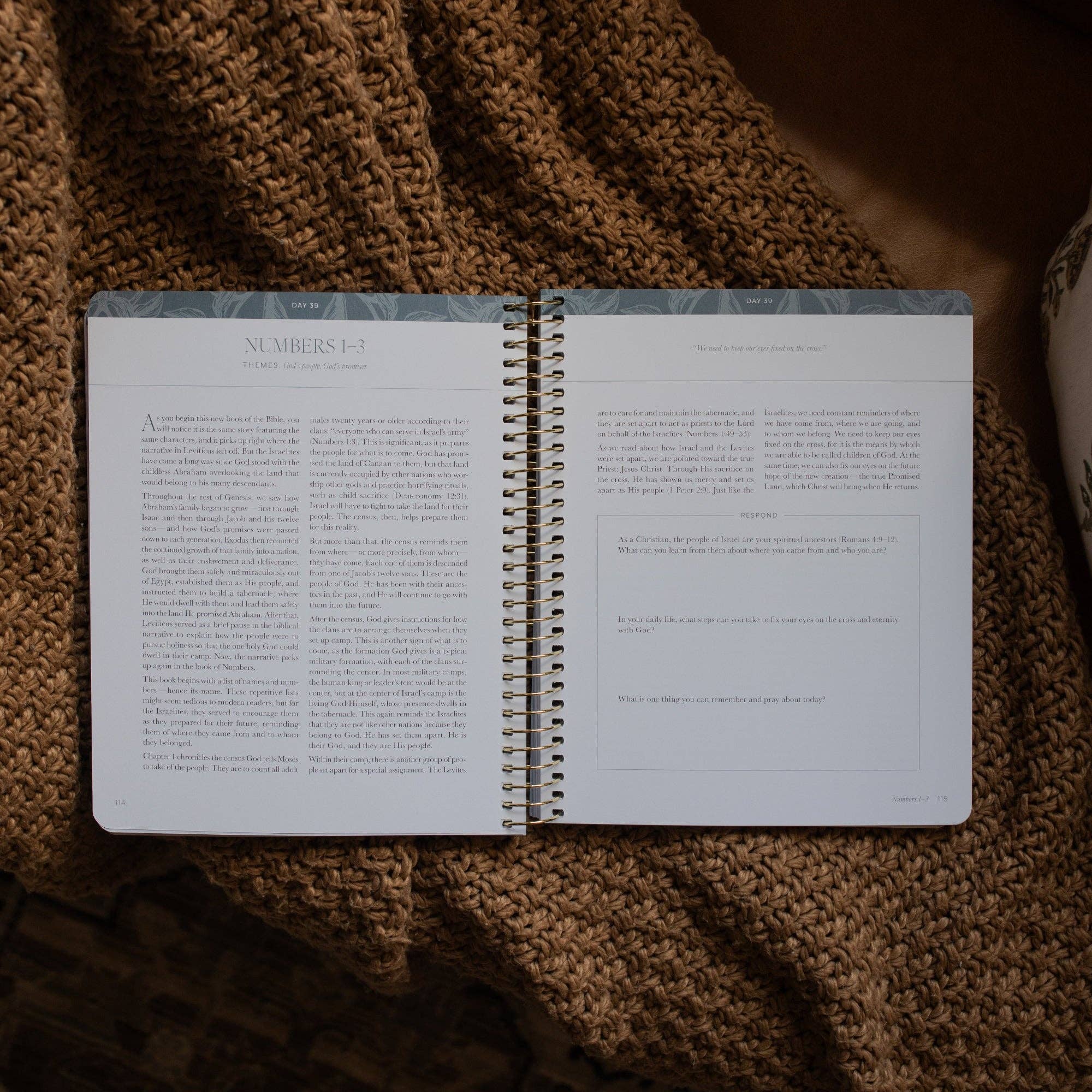 365 Days of Discovering the Beauty of Jesus