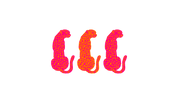 #50 - CUSTOM APPAREL