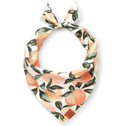 Peaches and Cream Dog Bandana