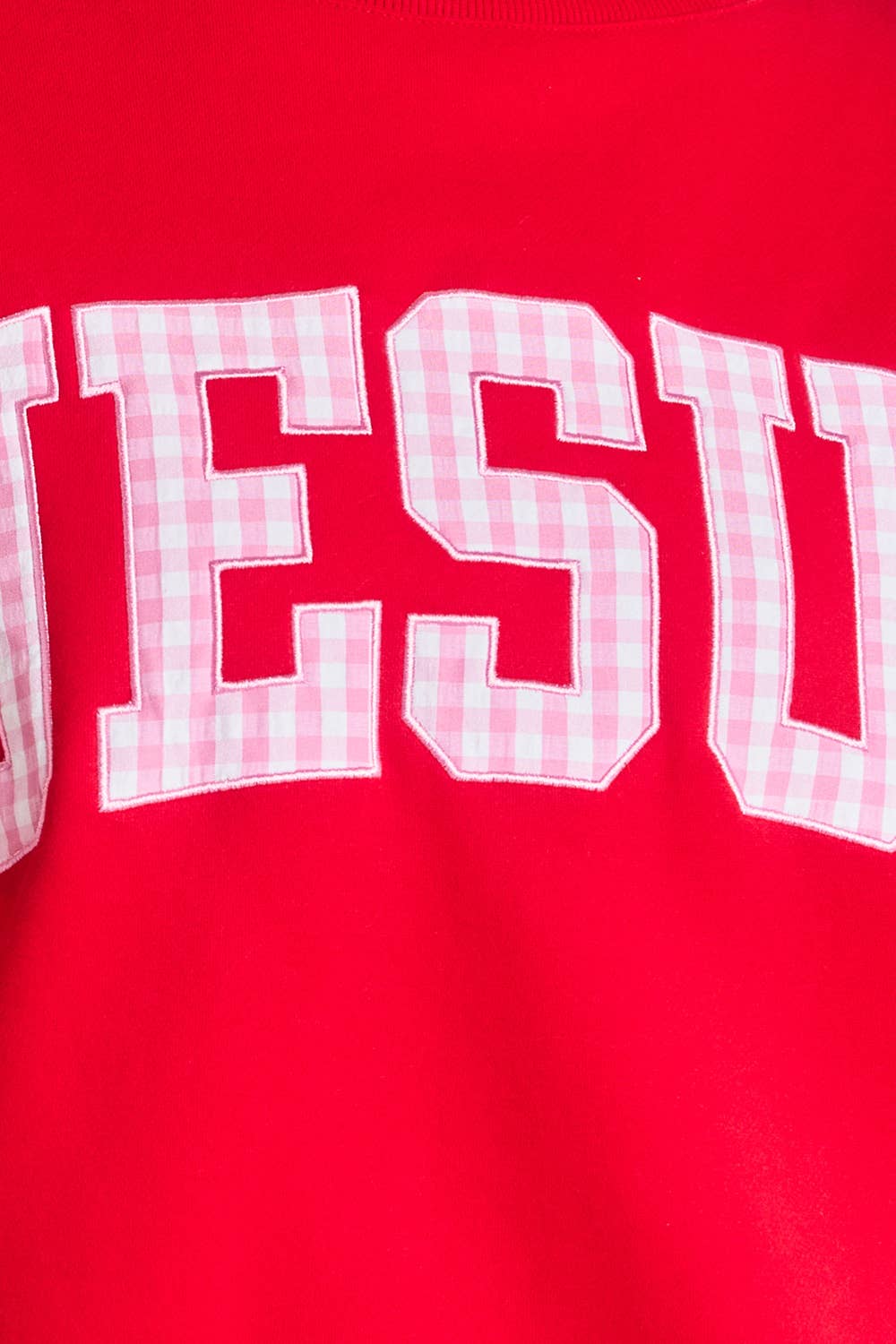 Red & Pink Gingham Jesus Mockneck