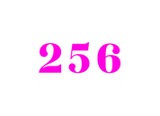 #70 - CUSTOM APPAREL