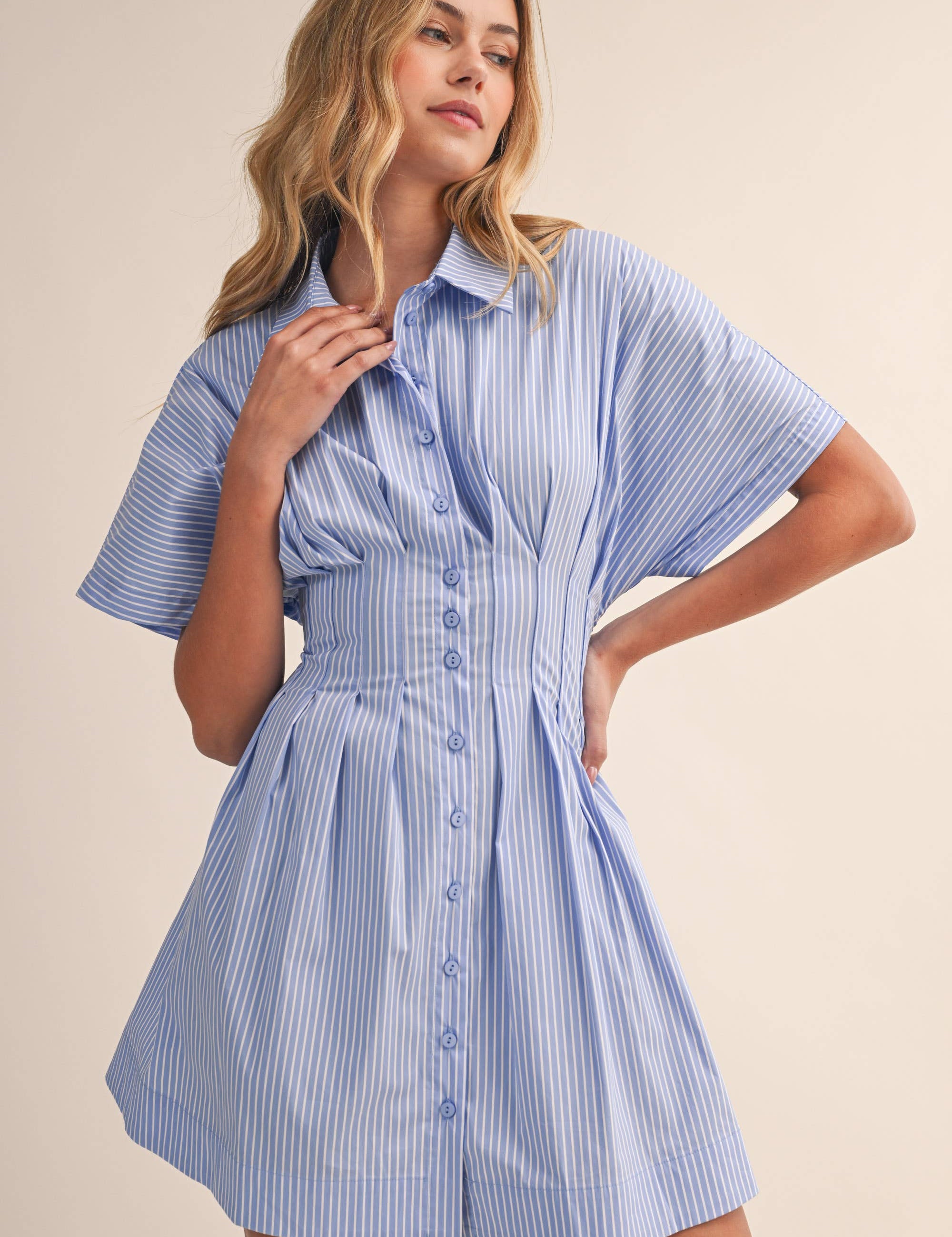 Blue Striped Pleated Dress