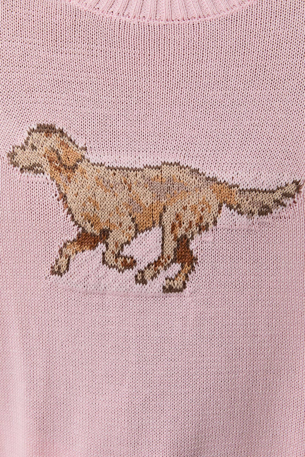 Pink Golden Retriever Sweater