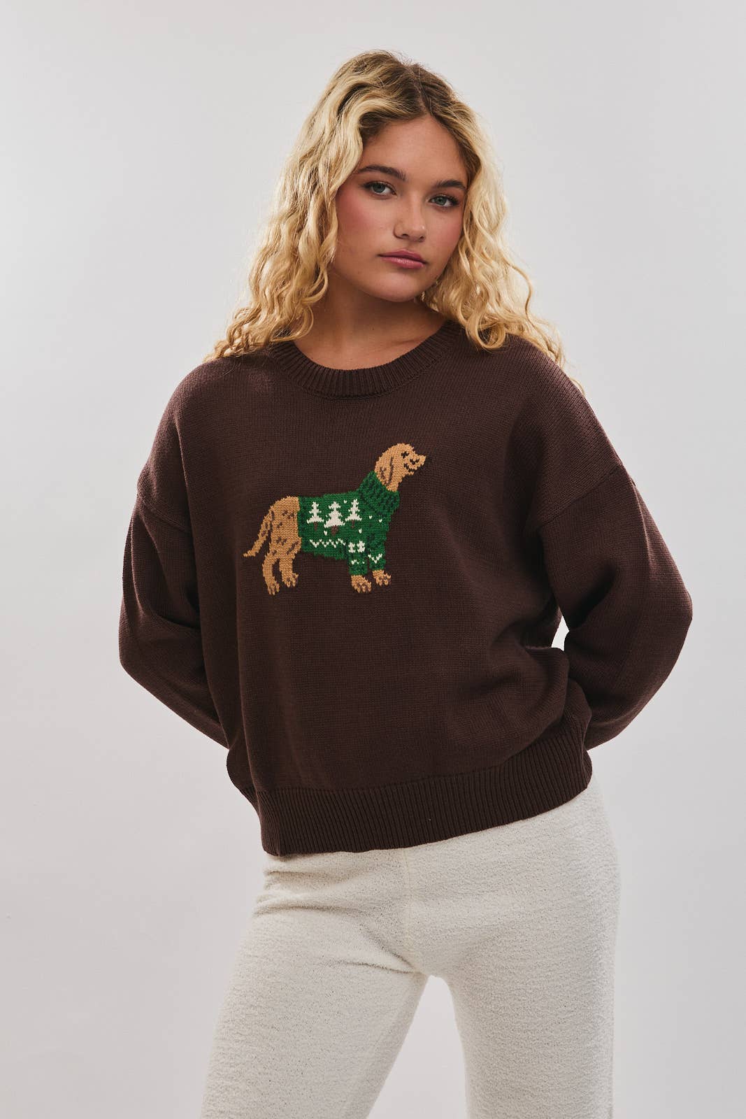 Brown Dog Sweater