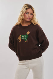 Brown Dog Sweater