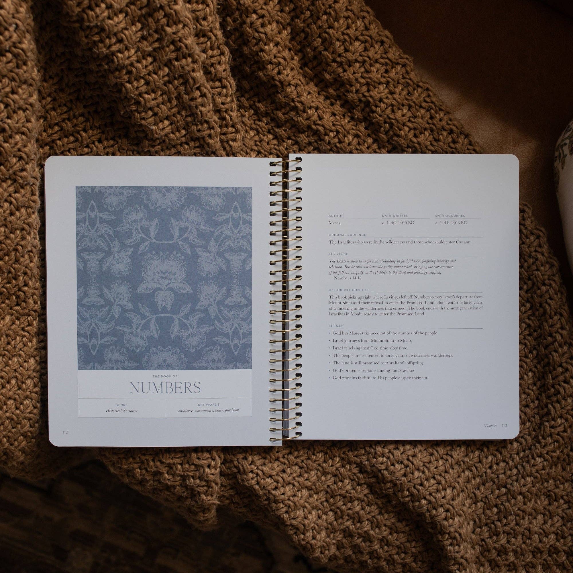 365 Days of Discovering the Beauty of Jesus