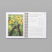 Spiral Bound A Beautiful Year 52-Week Bible Study