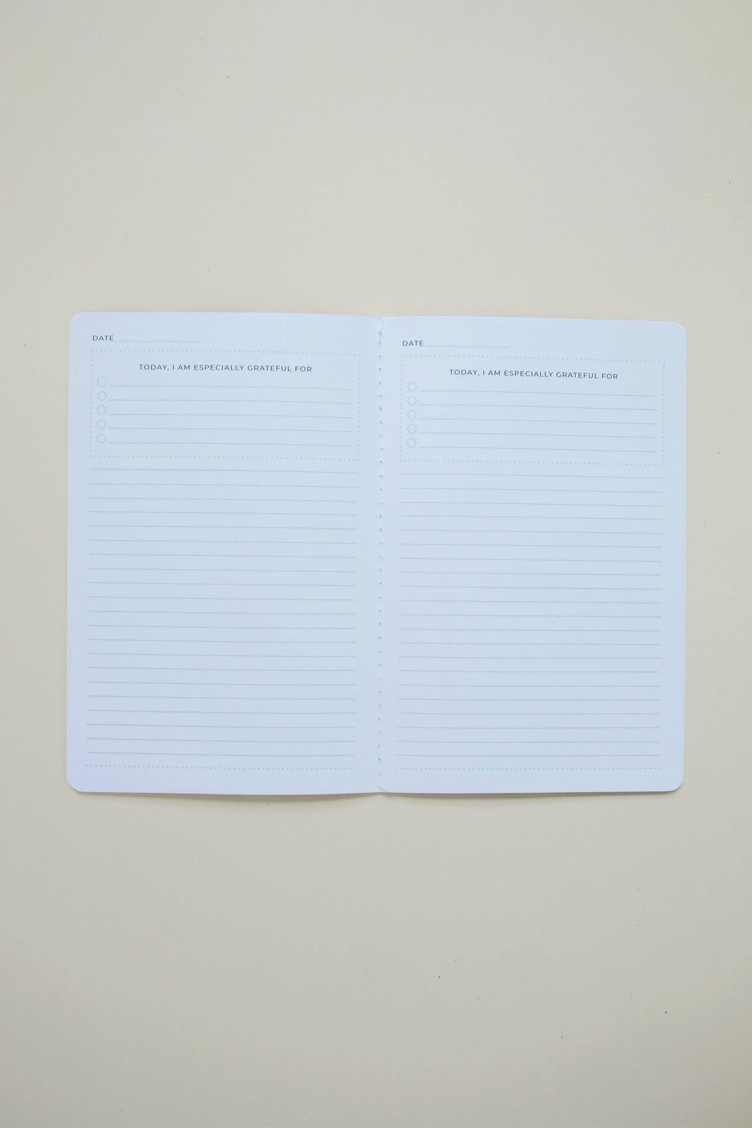 BLOOMS GRATITUDE JOURNAL