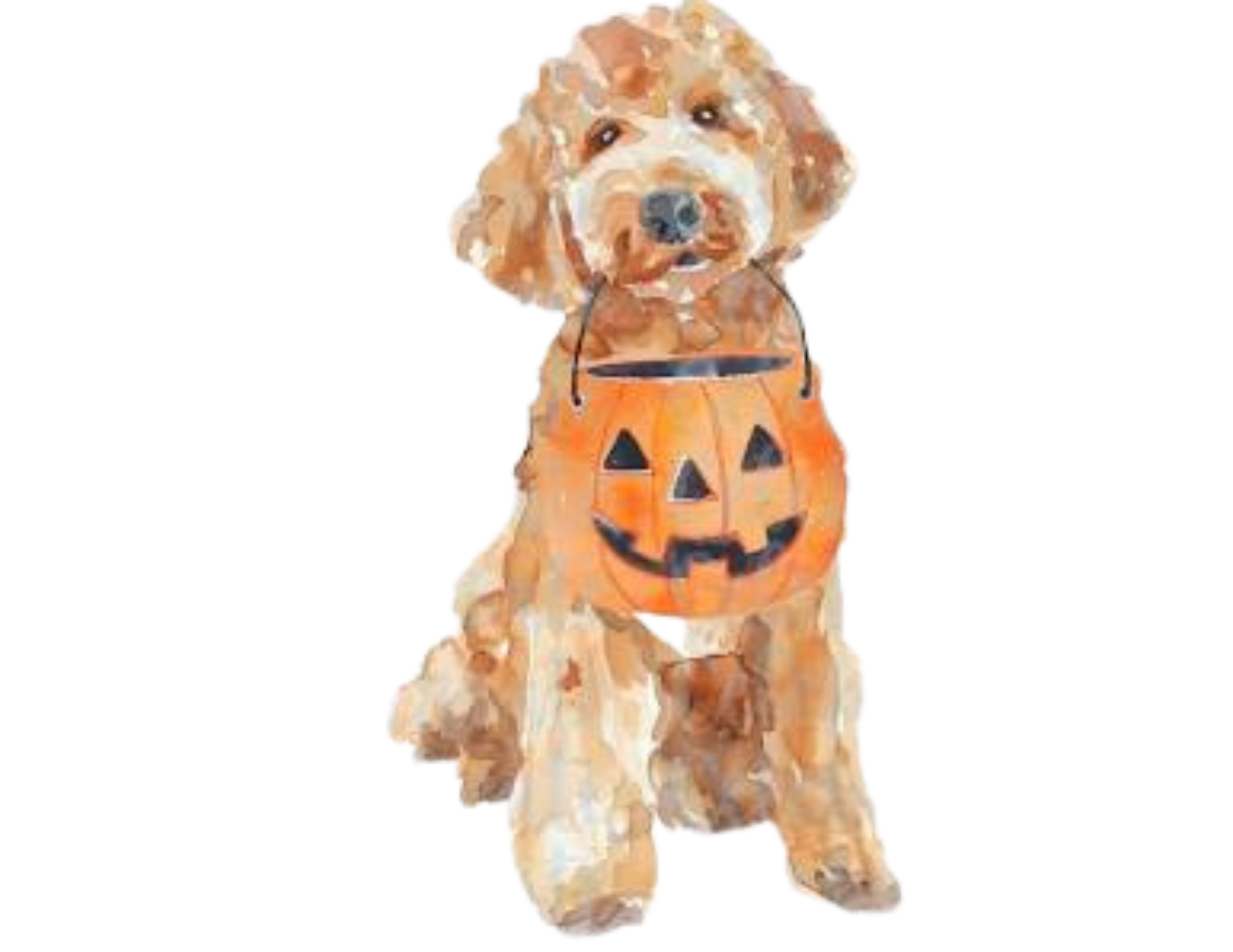 HalloweenCrewneckDesigns.png