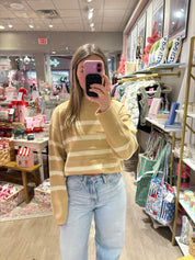 Brown Striped High Neck Sweater