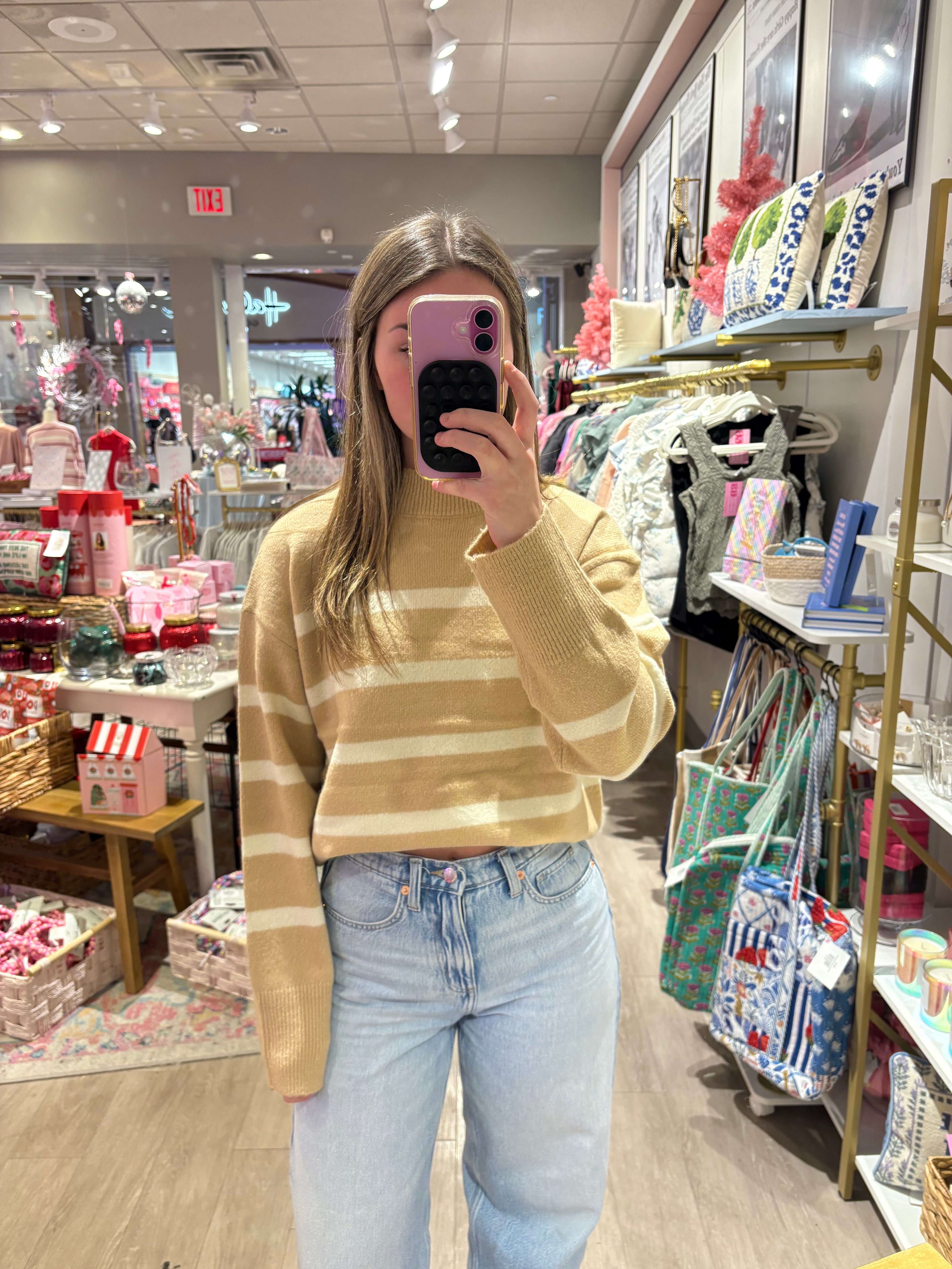 Brown Striped High Neck Sweater