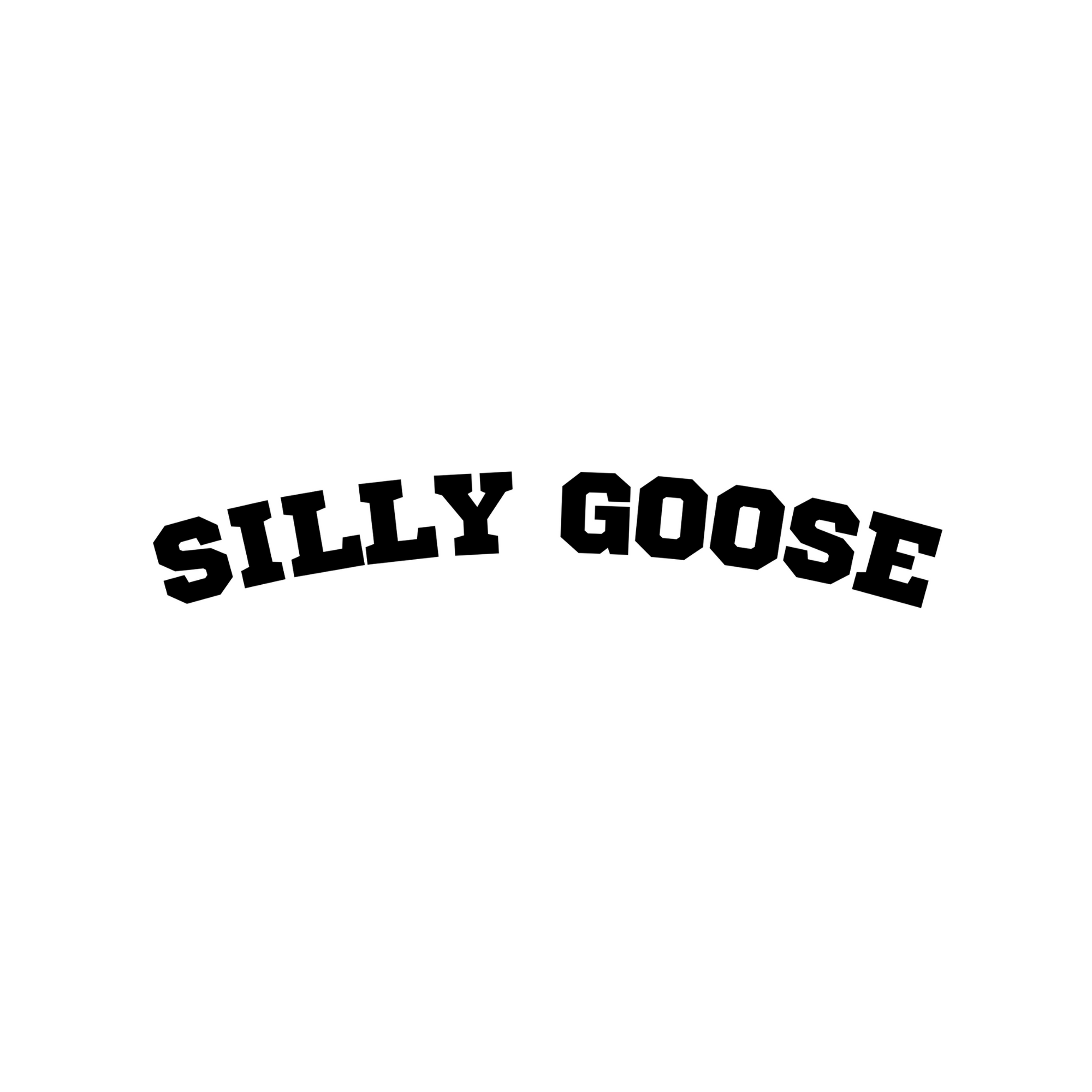 Untitleddesign-30_6e2c05fd-297a-4614-b995-1f21c57fcbfa.png