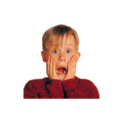 #148 - CUSTOM APPAREL — kevin mccallister's home alone face
