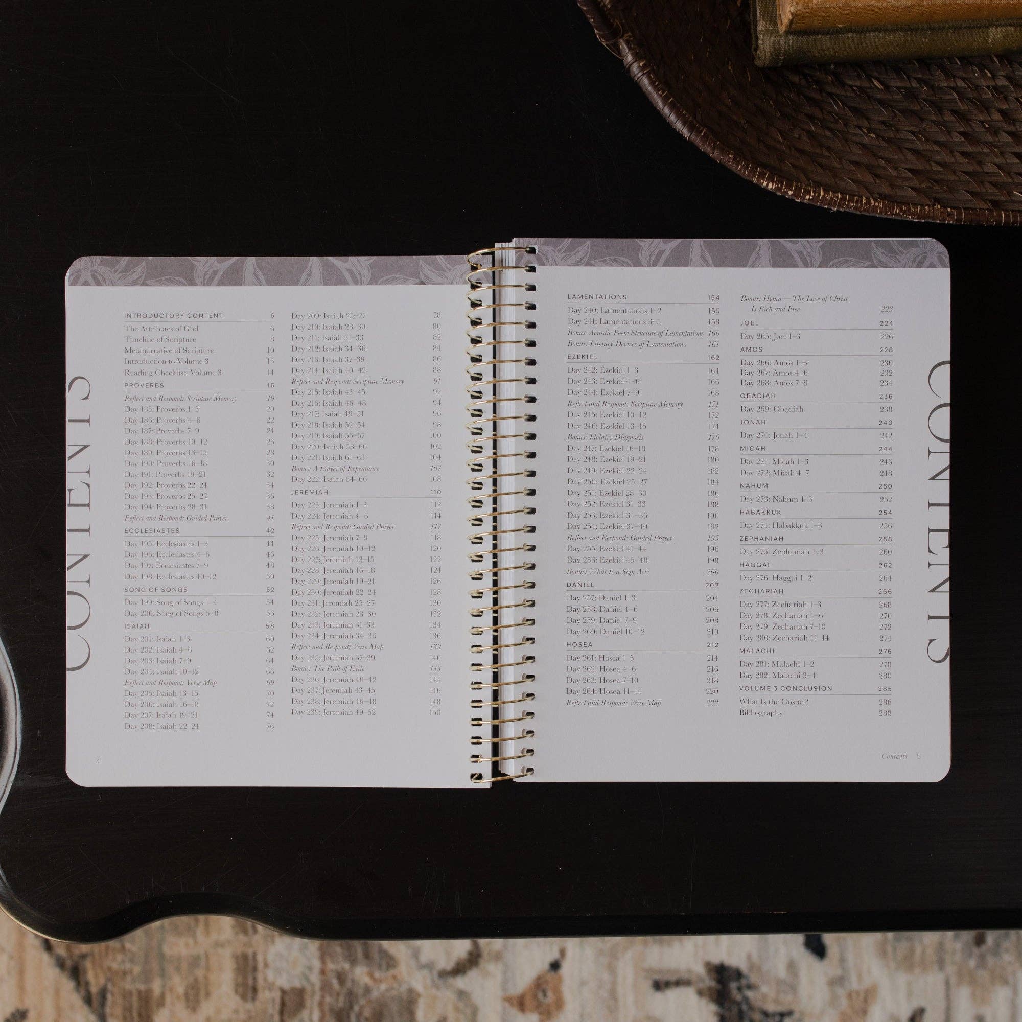 365 Days of Discovering the Beauty of Jesus/ Volume 3