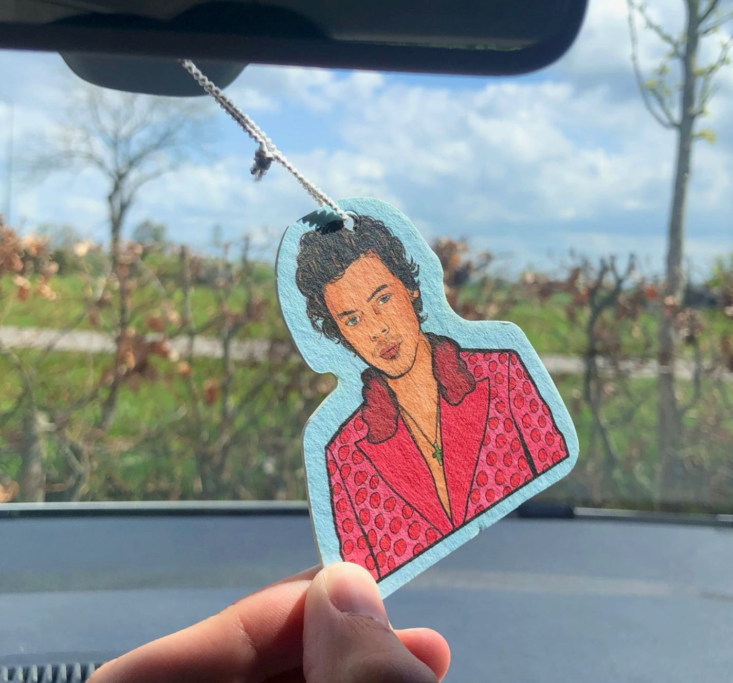 Watermelon Sugar Air Freshener