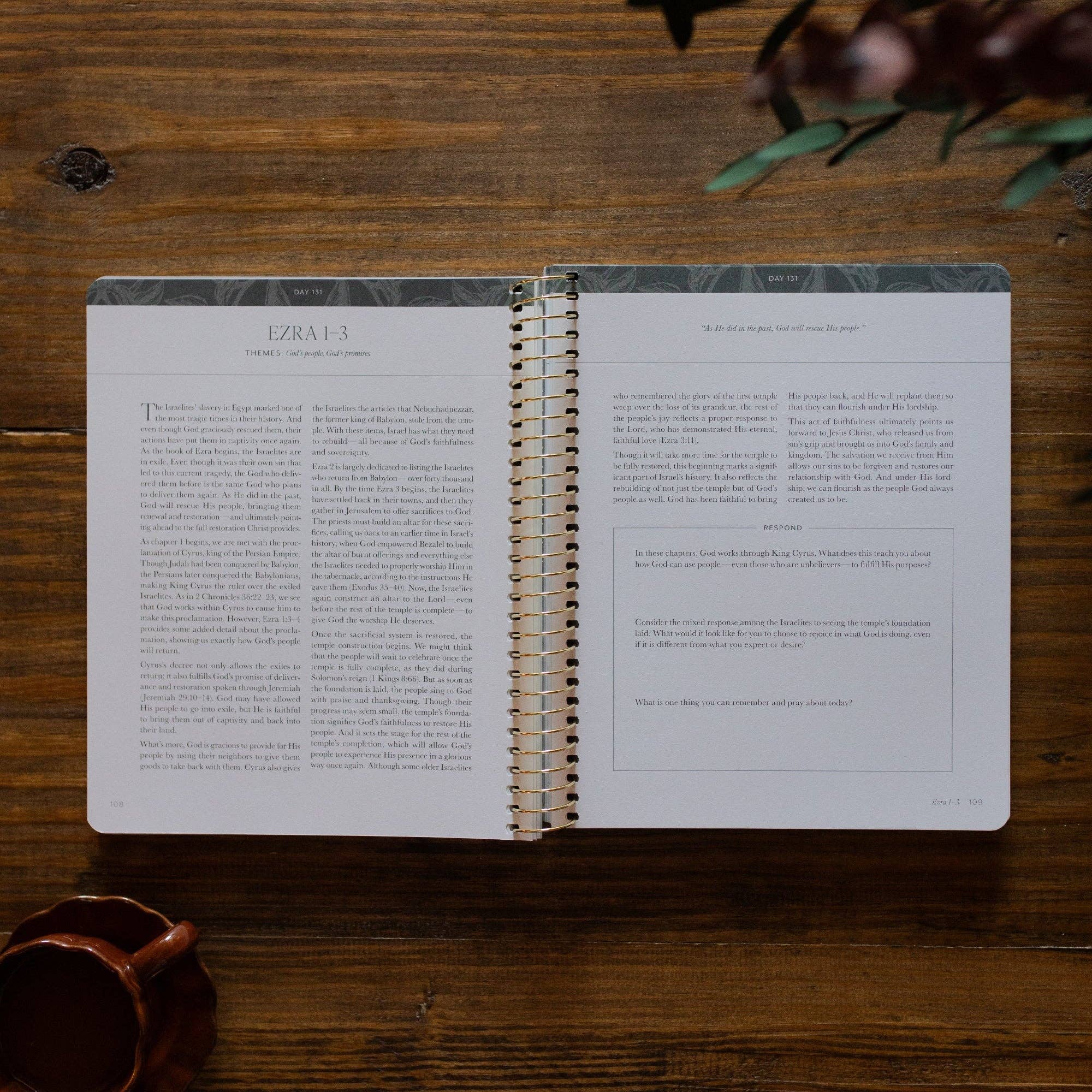 A Year in the Bible | 365 Days of Discovering the Beauty of Jesus from Genesis to Revelation | Volume 2