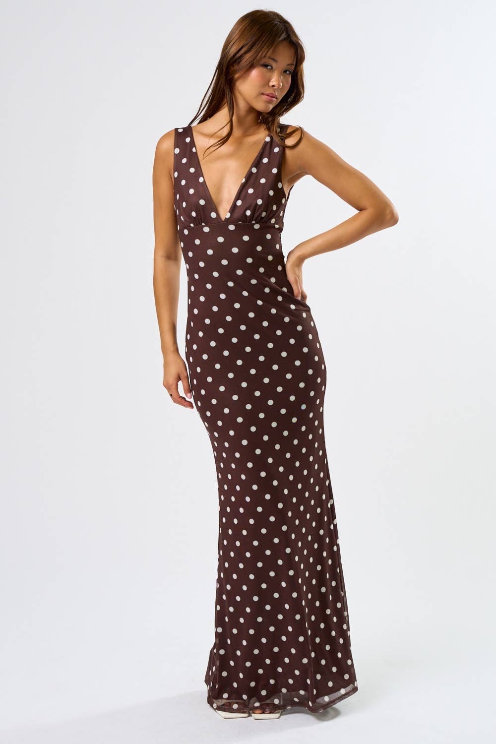 Brown Mesh Polka Dot Maxi Dress