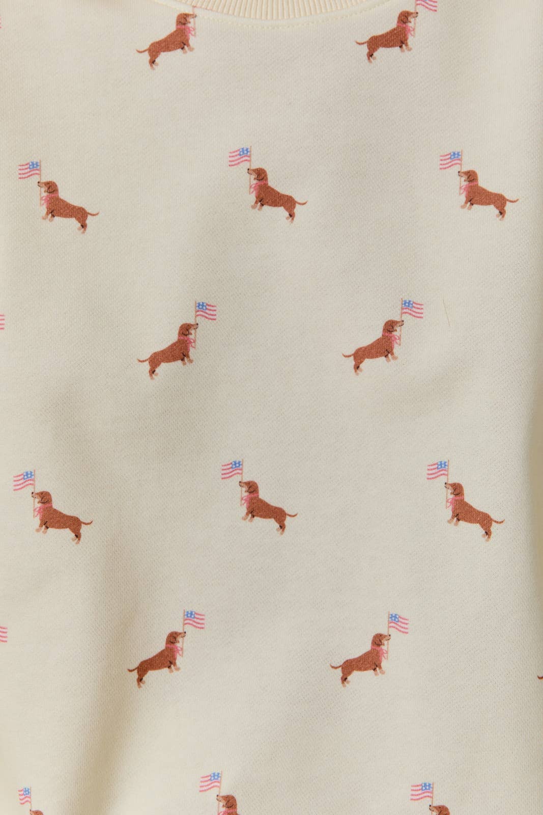 Cream USA Dog Graphic Print Set